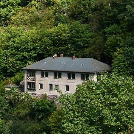 Haus Am Berg Βίλα Bad Bertrich Εξωτερικό φωτογραφία