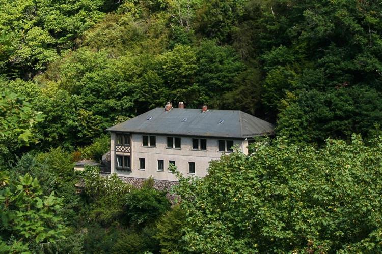 Haus Am Berg Βίλα Bad Bertrich Εξωτερικό φωτογραφία
